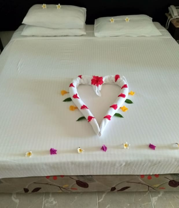 Zimmer Malikia Resort Abu Dabbab