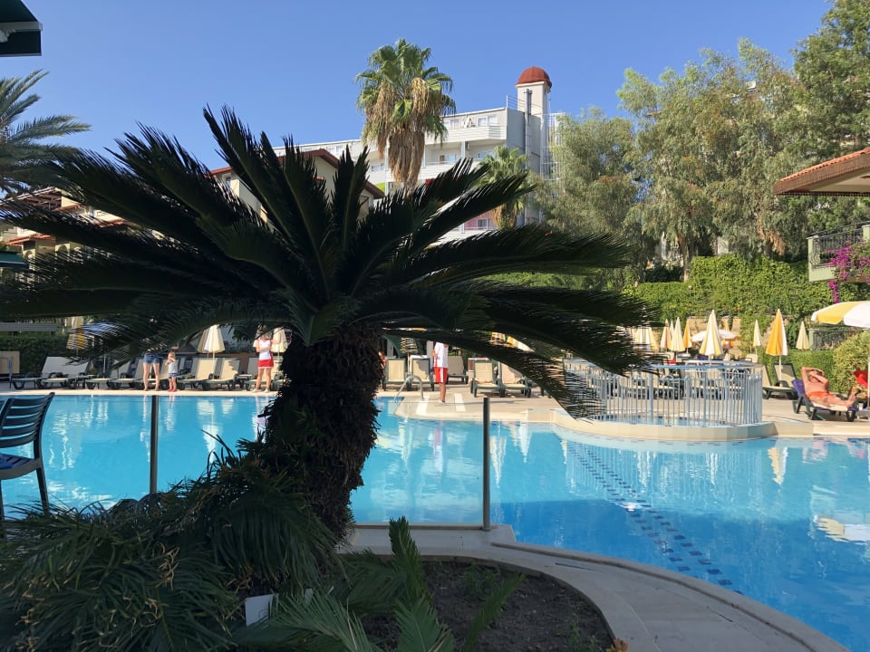 Pool Hotel Gardenia Beach