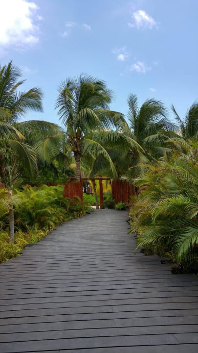 Weg vom Wellness-Bereich Akumal Bay Beach & Wellness Resort