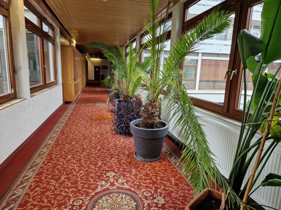 Sonstiges Vitalhotel König am Park