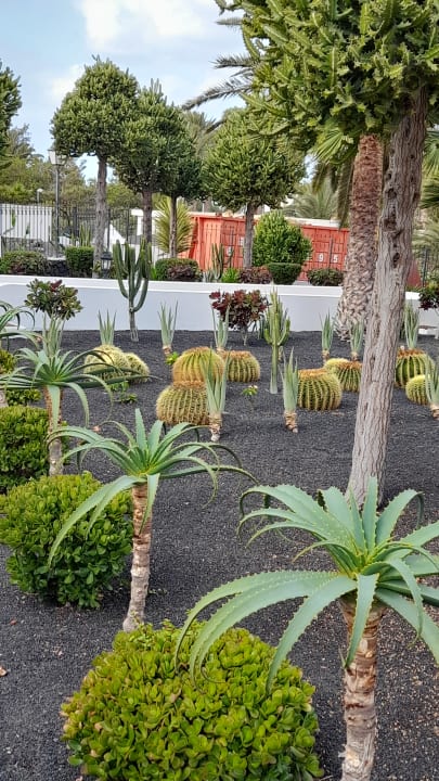 Gartenanlage Hotel Floresta