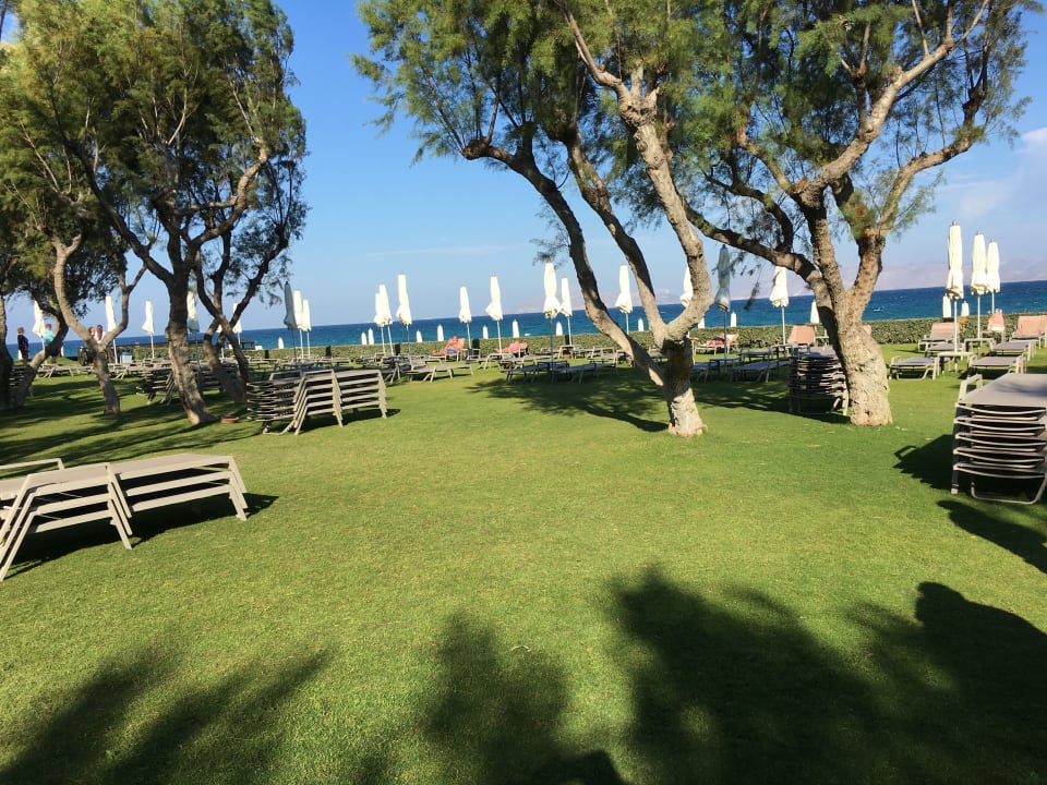 Gartenanlage Neptune Luxury Resort