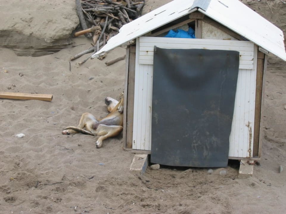 Hundstage Voyage Belek Golf & Spa