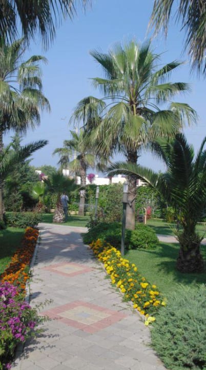 Hotelanlage Hotel Orfeus Park