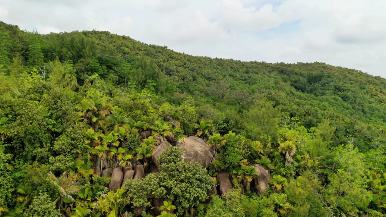 Sonstiges The Coco de Mer Hotel & Black Parrot Suites