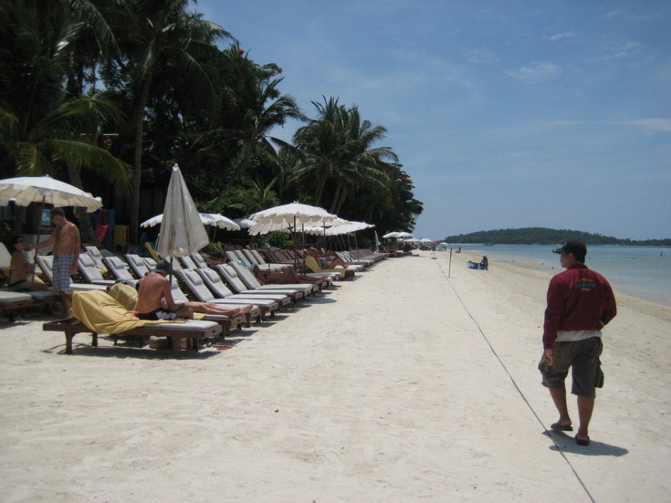 Strand mit Hoteleigenen Liegen Chaweng Regent Beach Resort