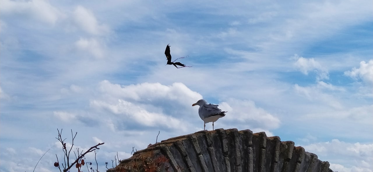 Sonstiges Hotel Bilyana Beach