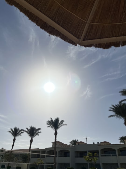 Sonstiges Pickalbatros Dana Beach Resort - Hurghada