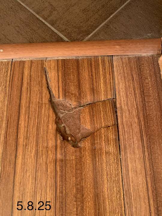 Zimmer Laguna Beach Resort & Spa