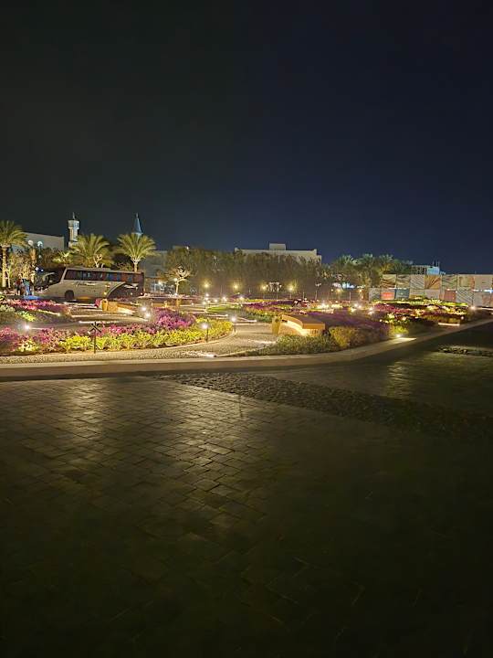 Außenansicht Desert Rose
