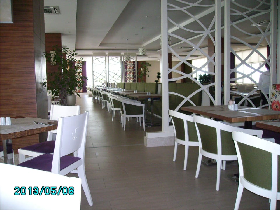 Immer freie Tische Paloma Oceana