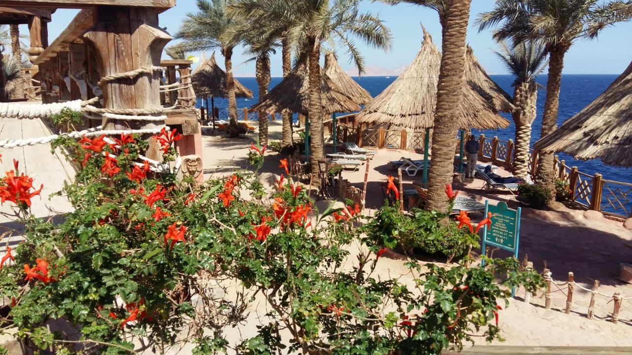 Strand Pickalbatros Golf Beach Resort