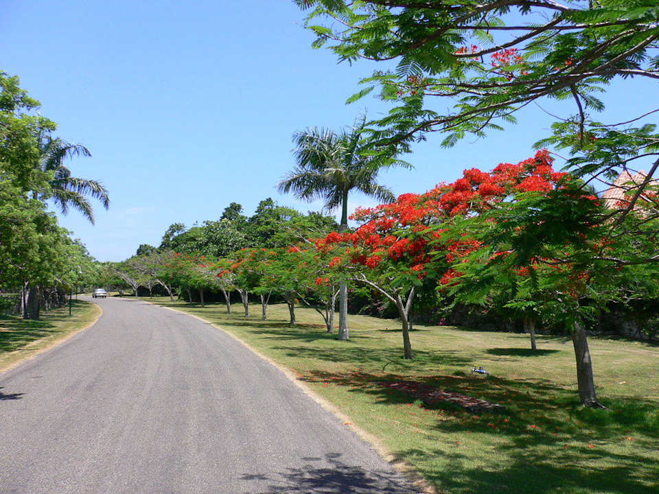 Einfahrt innerhalb der Wohnanlage Hotel Sea Horse Ranch