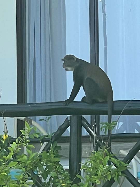 Außenansicht Hotel Papillon Lagoon Reef