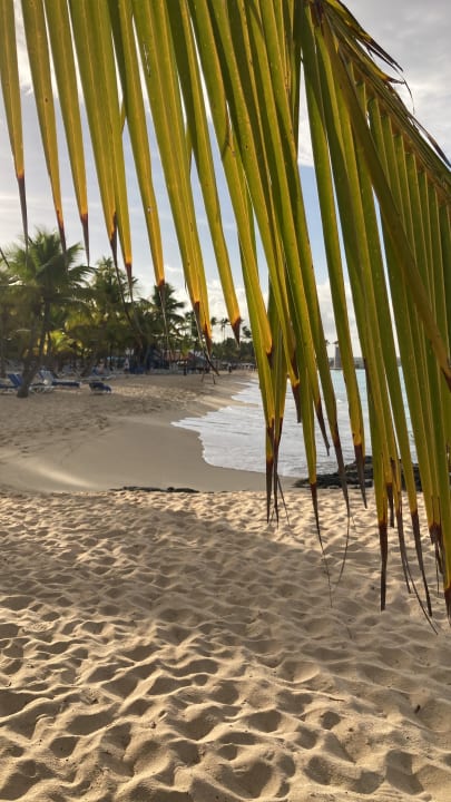 Strand Hotel Viva Dominicus Beach by Wyndham - All Inclusive Resort