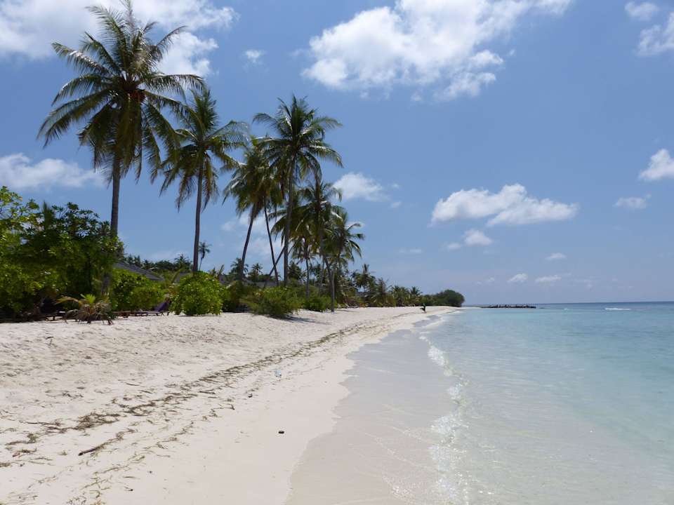 Strand auf der Riffseite Kuredu Island Resort & Spa