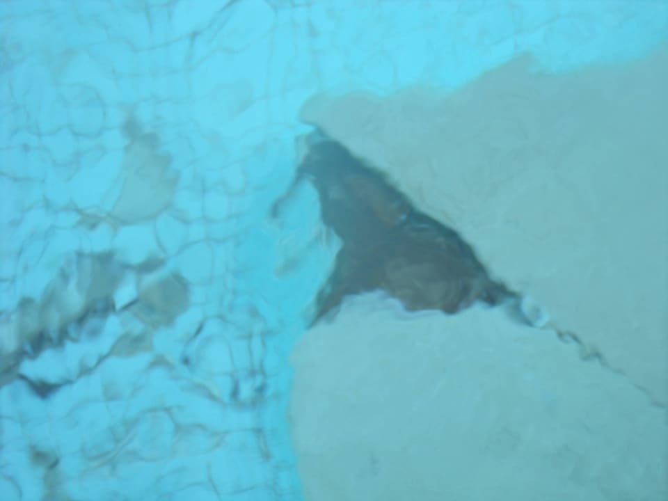 Pool Makadi Spa - Adults only