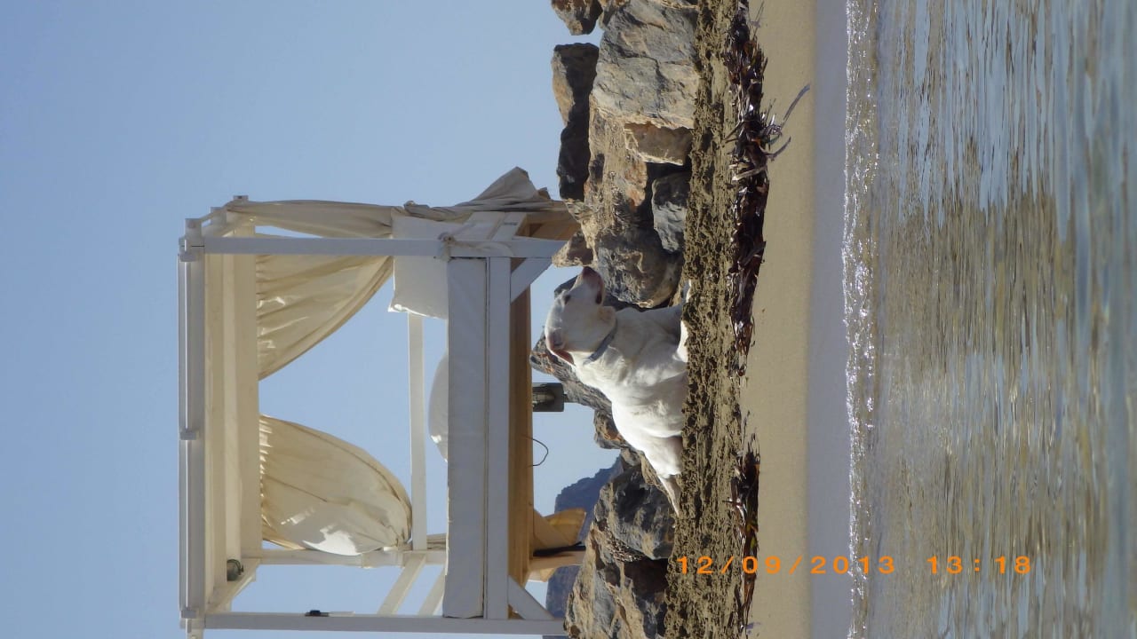 Strandbetten Knossos Beach Bungalows Suites Resort & Spa