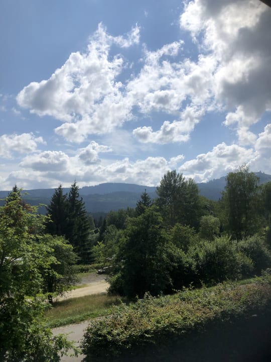 Ausblick Pension Arbersonne