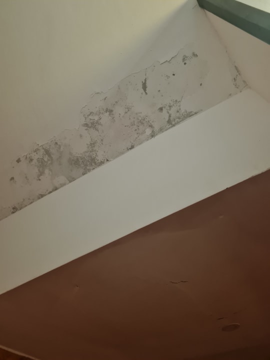 Zimmer Grand Oasis Tulum Riviera - All Inclusive