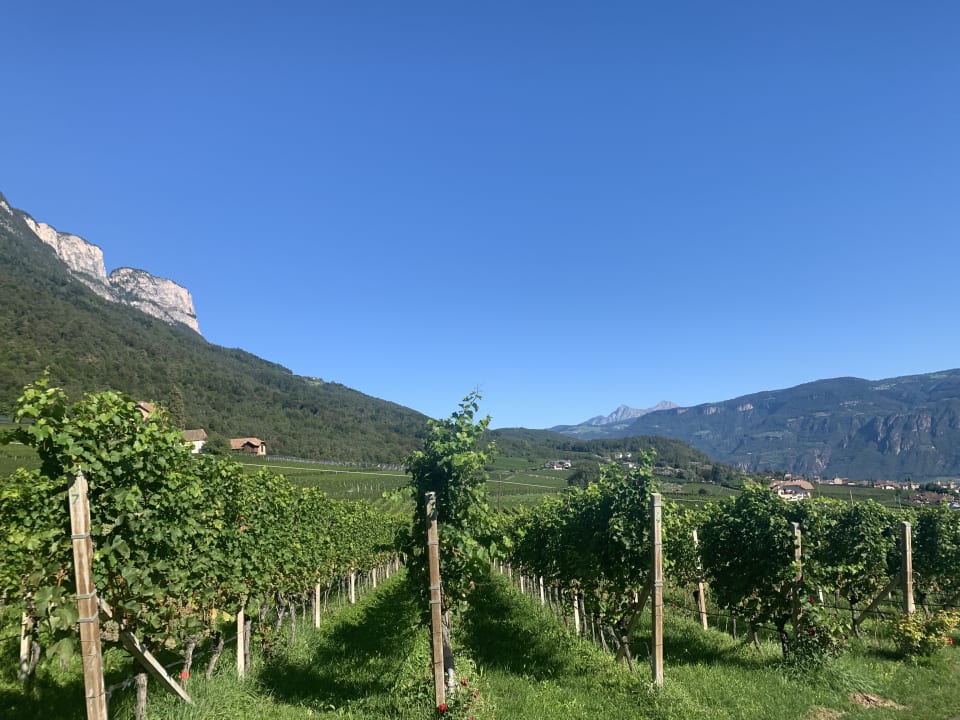Ausblick Residence & Garden Hotel DAS MATSCHER
