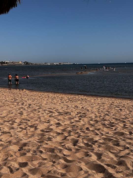 Strand Titanic Royal