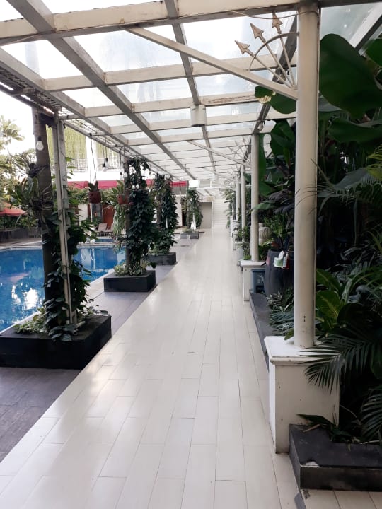 Pool Gallery Prawirotaman Hotel