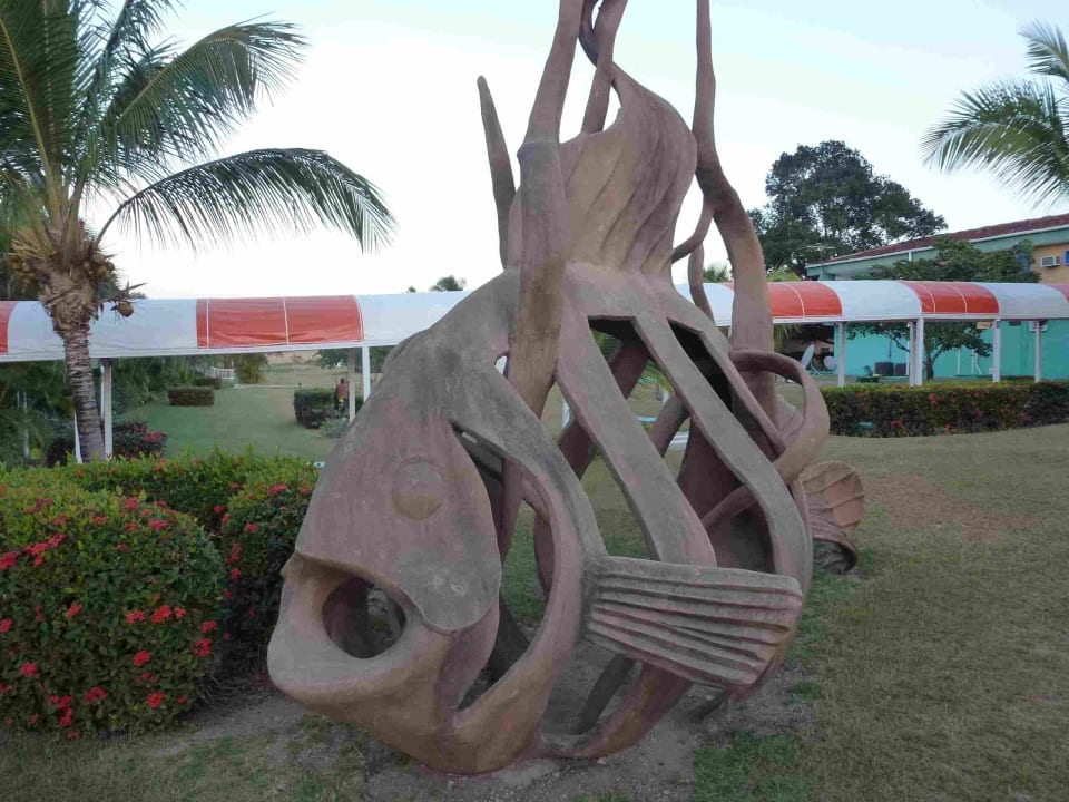 Amigo Rancho Luna Hotel Club Amigo Rancho Luna