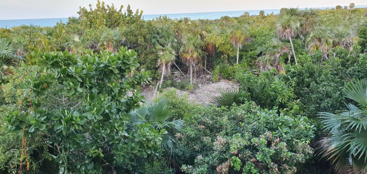 Ausblick Melia Las Dunas