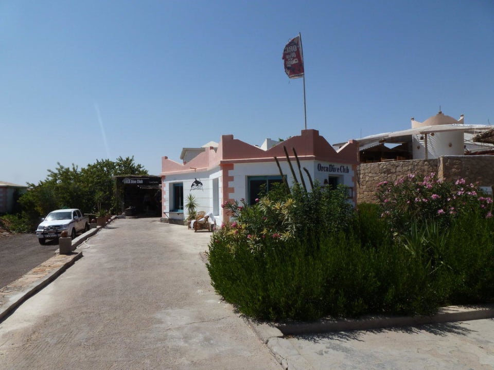 Der integrierte Orca Dive Club Hotel Coral Garden