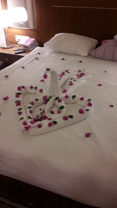 Sehr liebevoll  Sunis Elita Beach Resort & Spa
