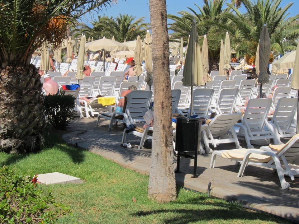 Liegen am Pool für Massen! Hotel Riu Gran Canaria