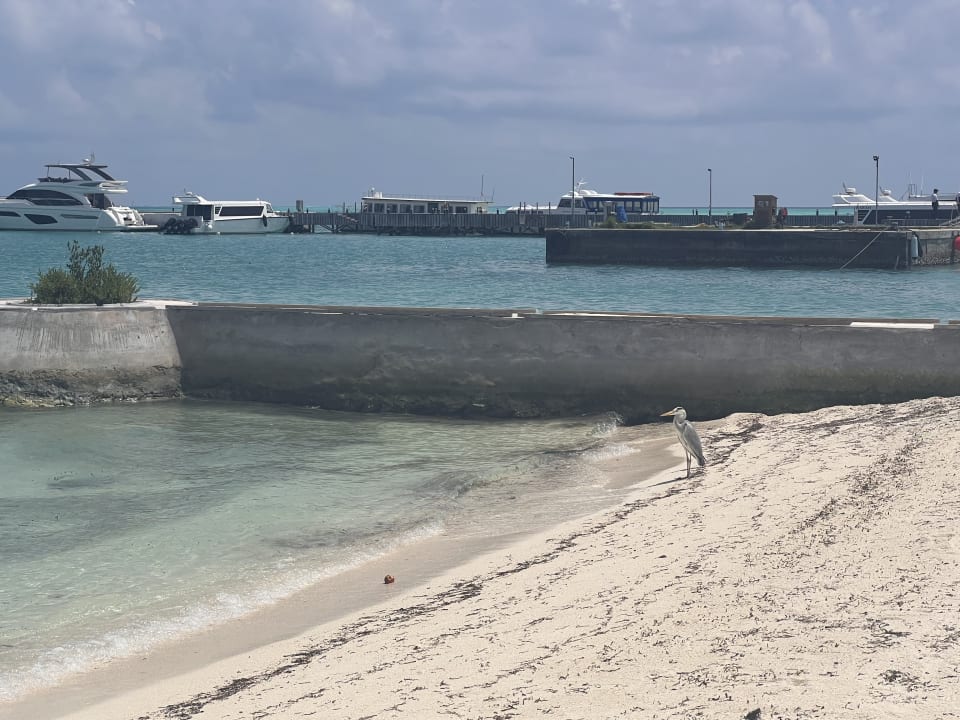 Strand Meeru Maldives Resort Island