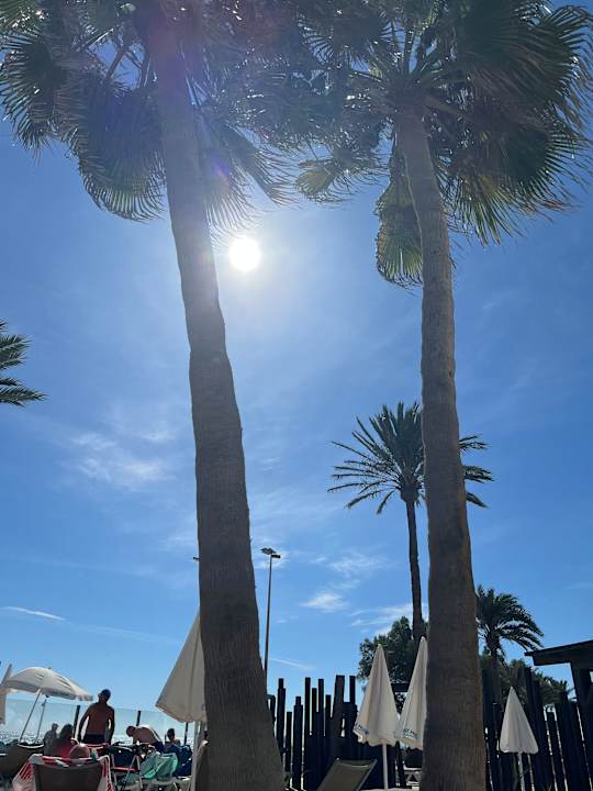 Pool Hotel Best Sabinal