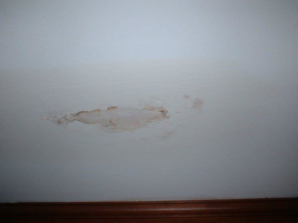 Einer der kleineren Pilze im Bad The Fair House Beach Resort