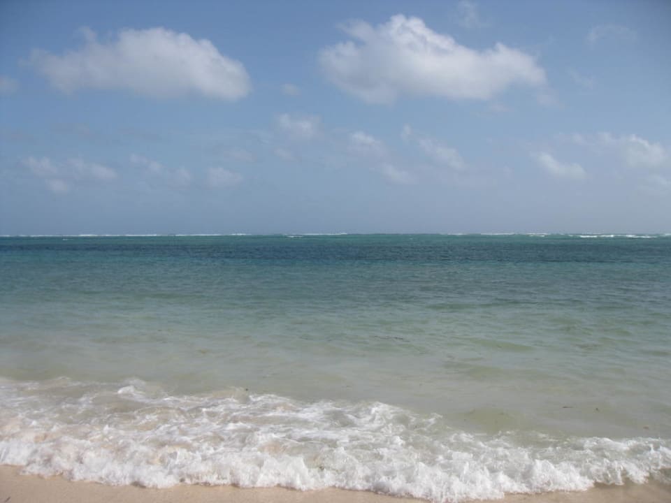 Strand- Catalonia Royal Bavaro - Adults only