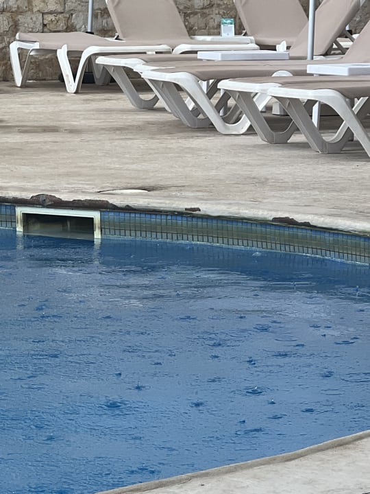 Pool Be Live Marivent - Adults only
