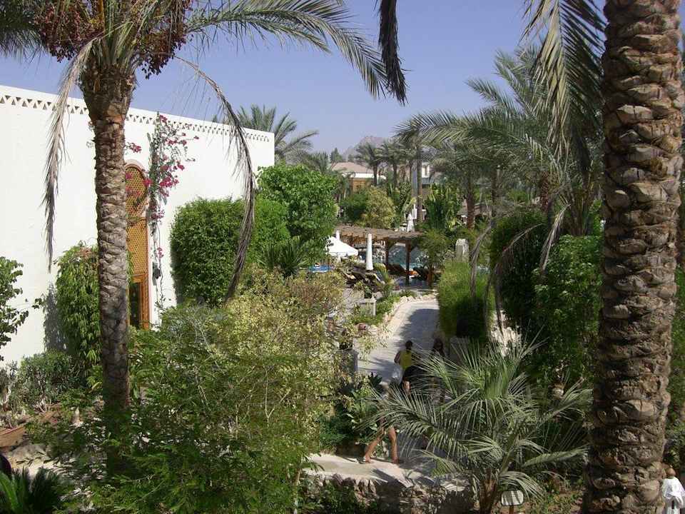 Weg zu den Zimmern Ghazala Gardens