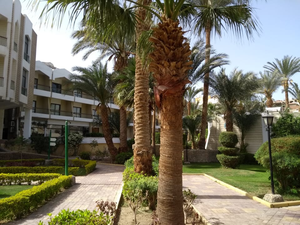 Linke Seite vom Haupthaus Regina Resort and Aqua Park Hurghada