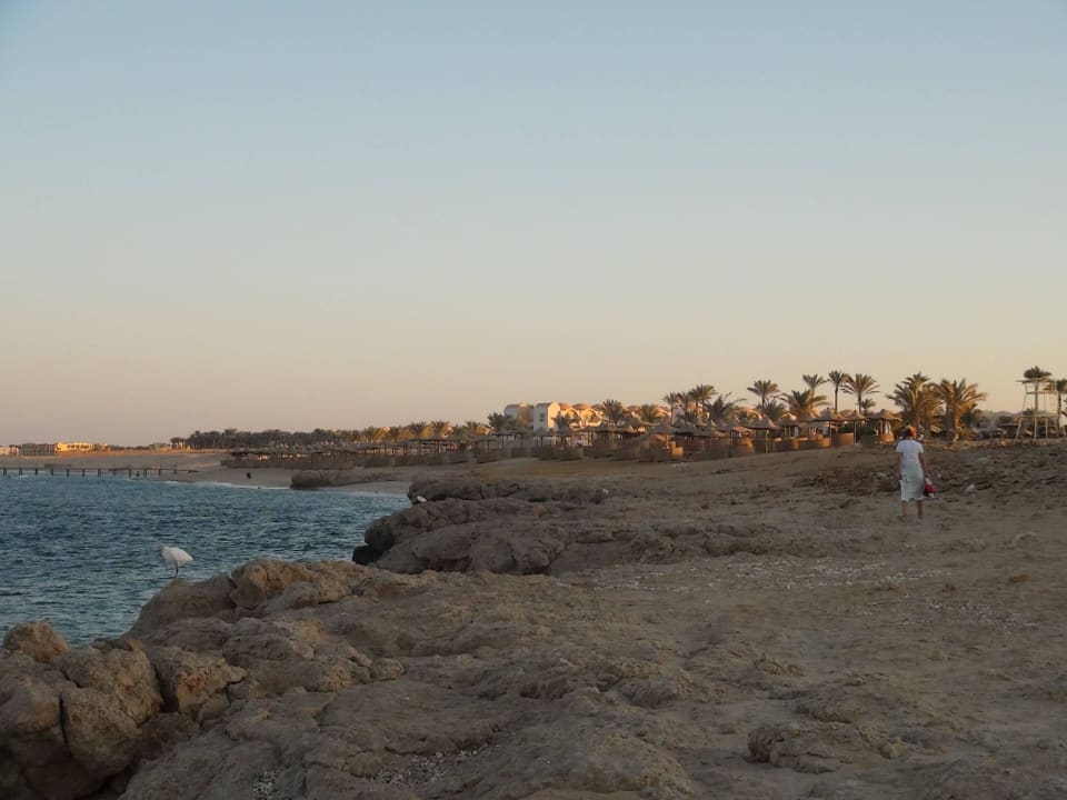 Ptaszek Three Corners Sea Beach Resort