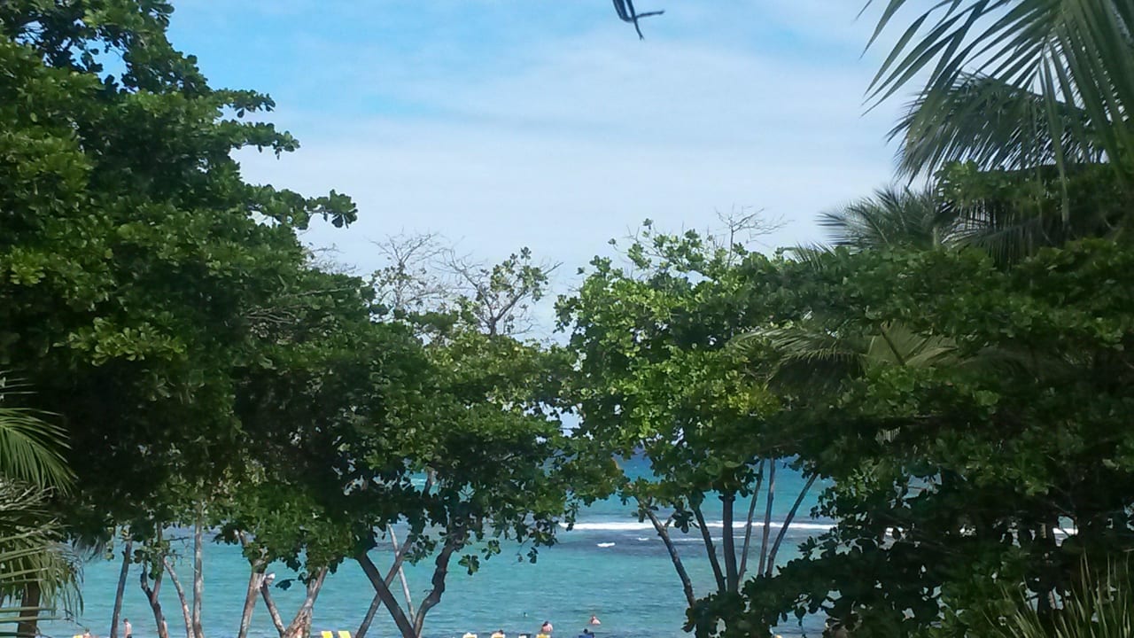 Ocean view / Meer Blick Iberostar Waves Costa Dorada