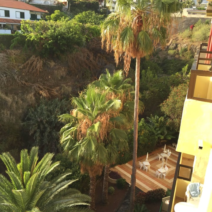 Garten Ansicht Hotel Perla Tenerife