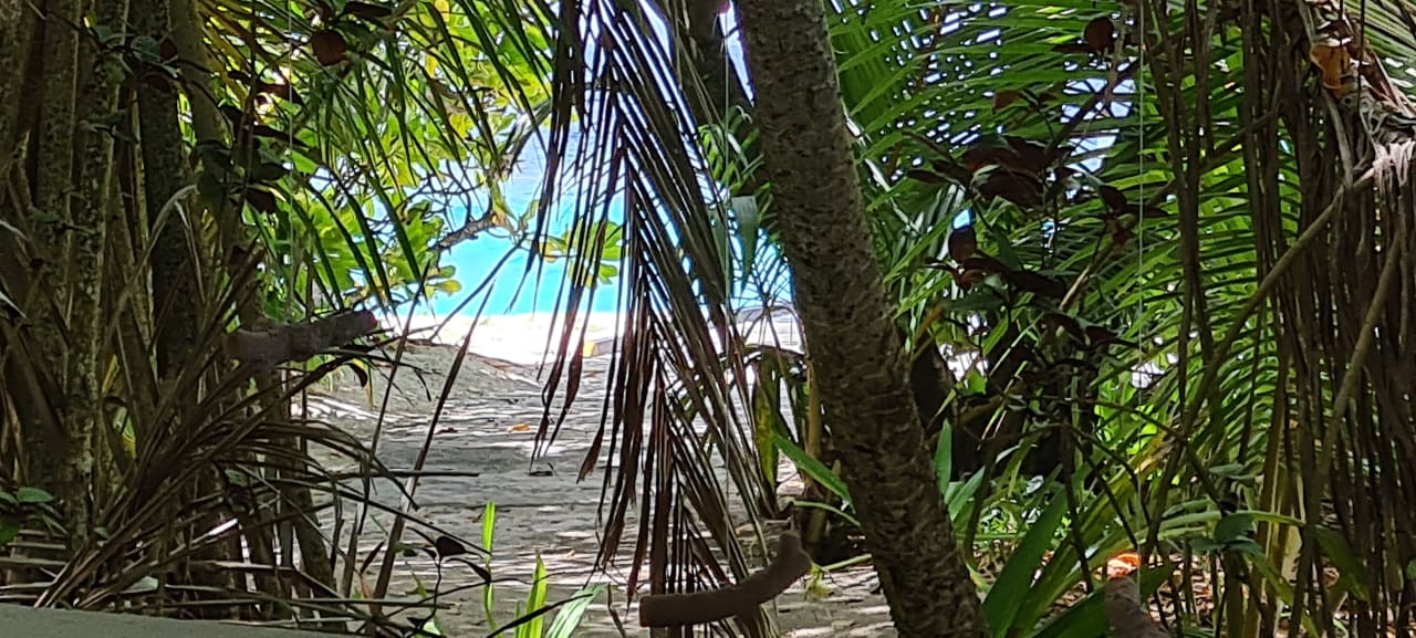 Ausblick Adaaran Select Meedhupparu Island Resort - Premium All Inclusive