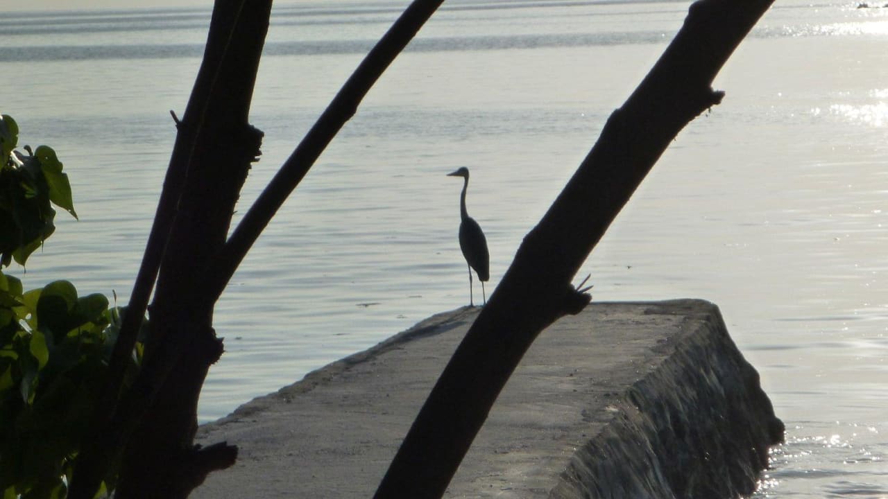 Den gibt's auch überall Adaaran Select Hudhuran Fushi - Premium All Inclusive