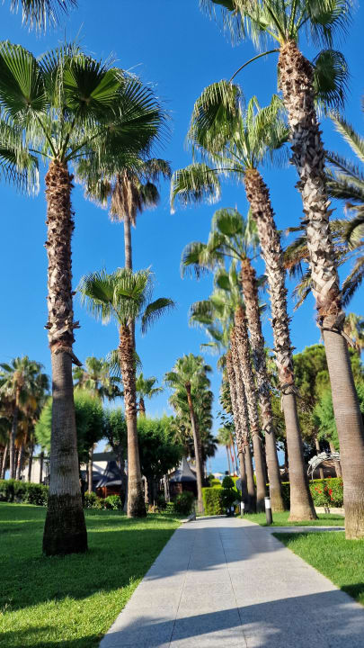 Gartenanlage Hotel Miramare Beach