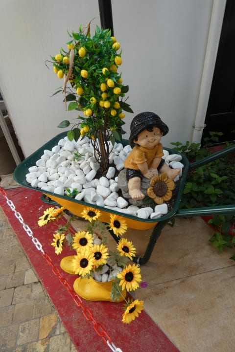 Gartenanlage Hane Family Resort