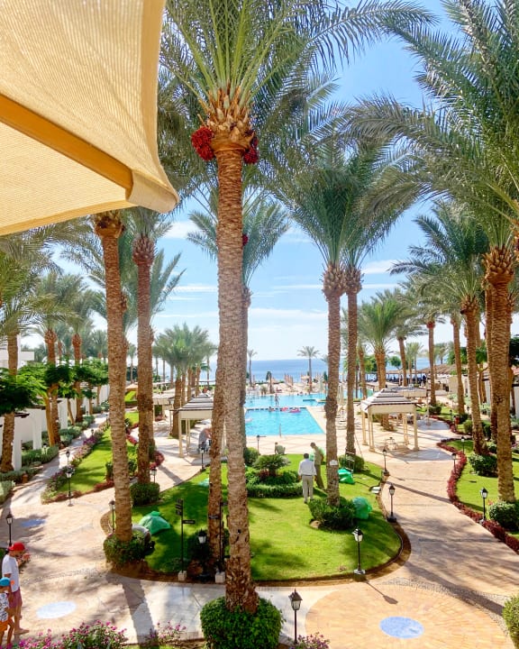 Gartenanlage JAZ Fanara Resort
