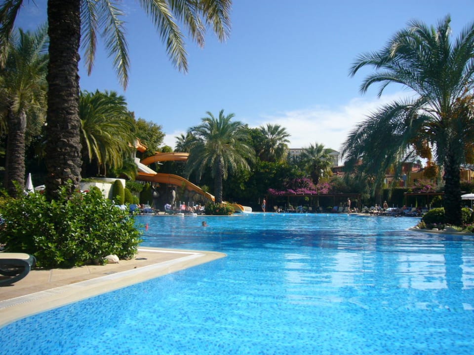 Pool Side Star Elegance