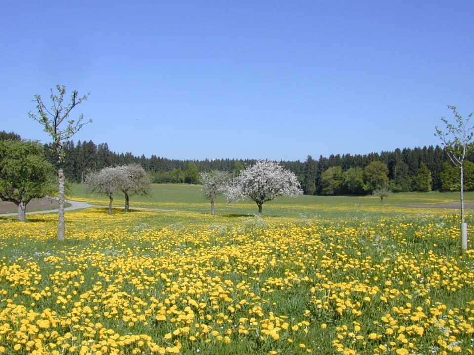 Ausblick Ferienhof Uebelhör