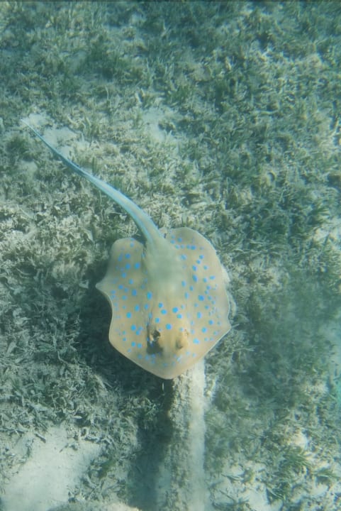 Sport & Freizeit Cleopatra Luxury Resort Makadi Bay